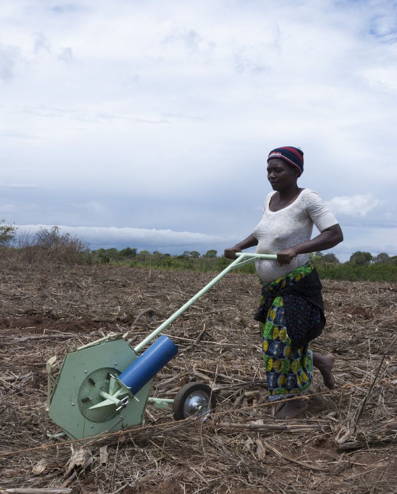 The 'Haraka' rolling jab planter