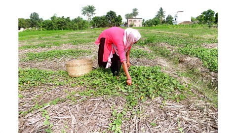 Accelerating Catalyzing Solutions for Climate Change's Impact on Health, Agriculture, and Gender