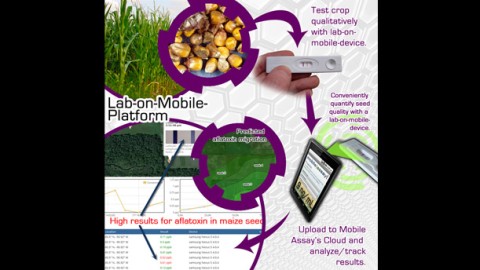 Protecting Crop Plants: A Mobile Device for Seed Testing
