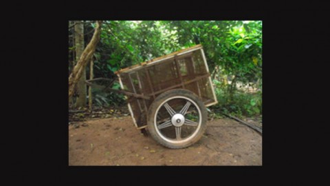 Innovations for Women Farmers: A Hand Cart To Transport and Store Cassava