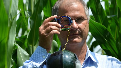 Protecting Crop Plants: Laser Bug Sensors
