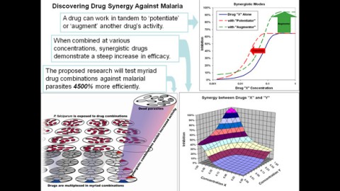 Testing Anti-malarial Compounds: Discovering New Drug Combinations
