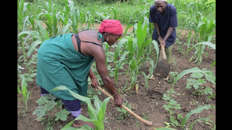 Innovations for Women Farmers: Designing New Hoes for Women