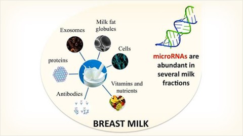 Nutrition for Infants and Children: Exploring the Role of MicroRNAs in Breast Milk