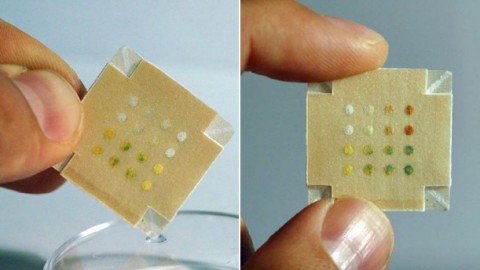 Diagnostics: Monitoring HIV with a Disposable Paper Device